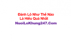 Soi cầu lô kép