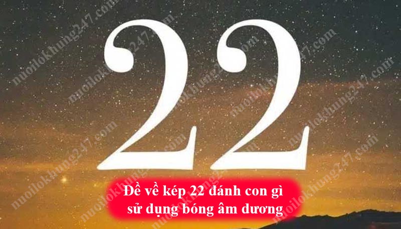 Đề về kép 22 đánh con gì sử dụng bóng âm dương