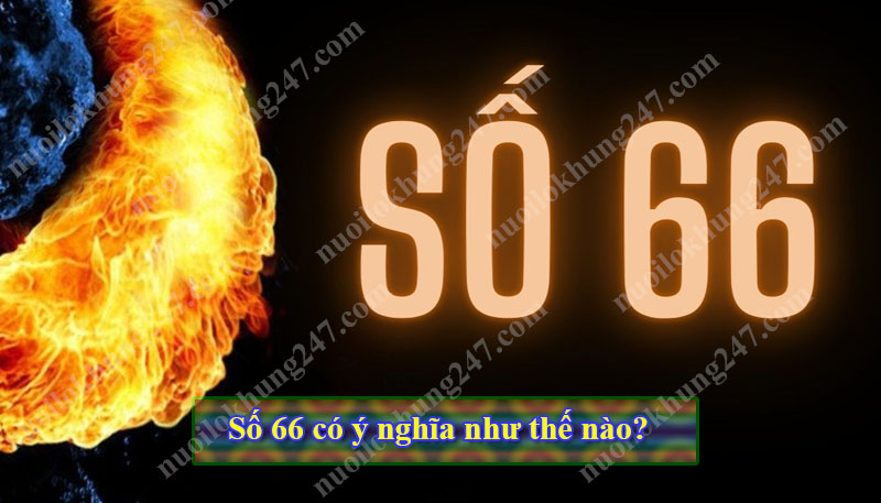  Số 66 có ý nghĩa như thế nào? 